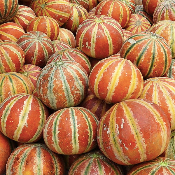 Musk Melon (Kharbuja) - 1000 gms
