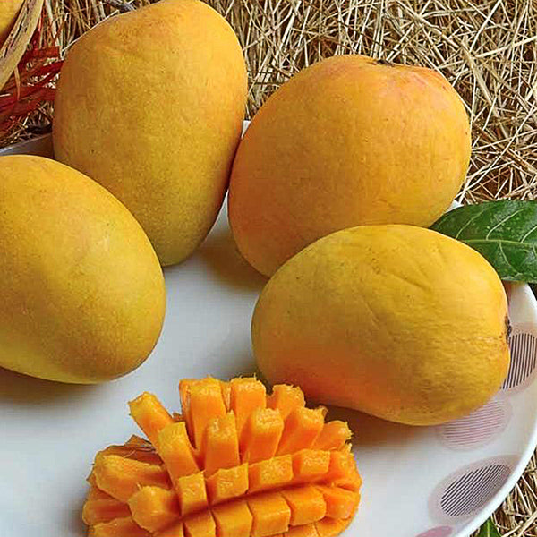 Safeda Mango (1 Kg)