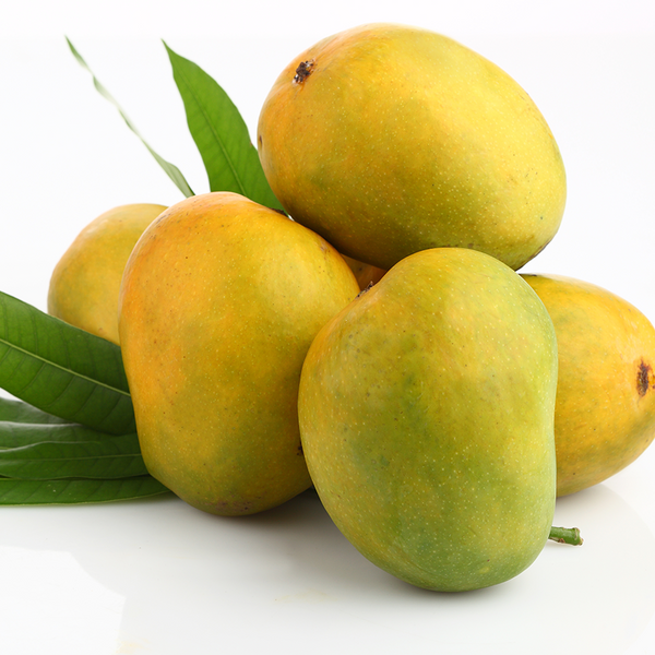 South African Mango