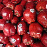 Washington Red Delicious Apples